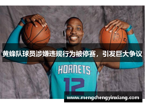 黄蜂队球员涉嫌违规行为被停赛，引发巨大争议