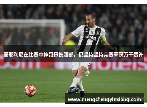 基耶利尼在比赛中神奇扭伤腰部，仍坚持坚持完赛荣获万千赞许