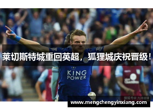 莱切斯特城重回英超，狐狸城庆祝晋级！