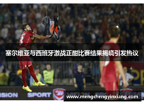 塞尔维亚与西班牙激战正酣比赛结果揭晓引发热议