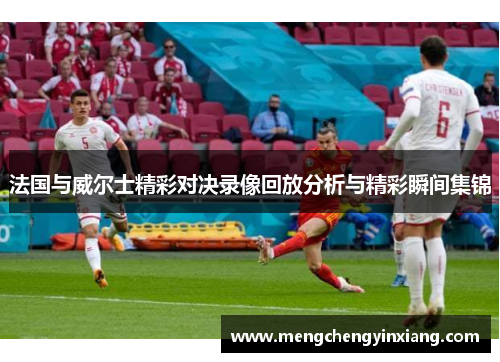 法国与威尔士精彩对决录像回放分析与精彩瞬间集锦