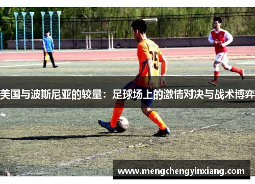 美国与波斯尼亚的较量：足球场上的激情对决与战术博弈