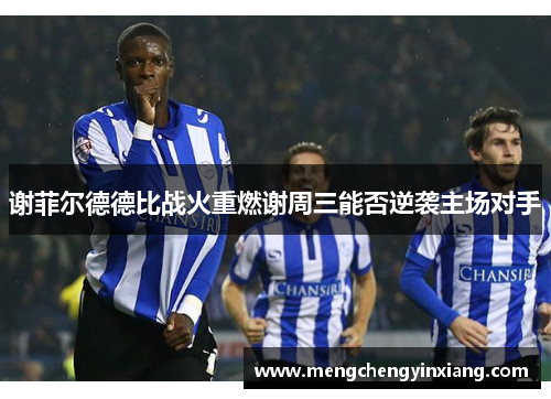 谢菲尔德德比战火重燃谢周三能否逆袭主场对手