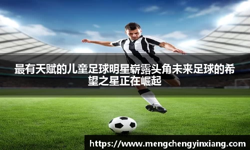 三亿(集团)体育