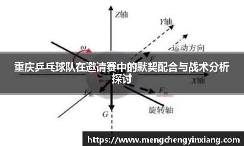 三亿(集团)体育