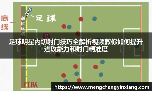 三亿体育官网入口